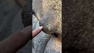 Could they soften stone?