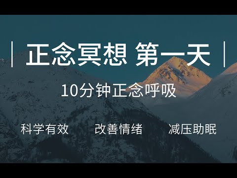 【正念冥想入门】第一天 正念呼吸 | 改善情绪，减压助眠，放松身心，缓解内耗，减少焦虑抑郁情绪，提升专注，找回内心的宁静和幸福