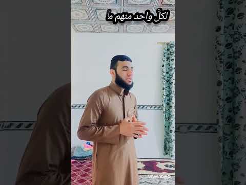 تلاوة تفسيرية اواخر سورة عبس علي الصميدعي