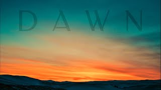 DAWN | soundscape ambience (432 Hz) | ECHO
