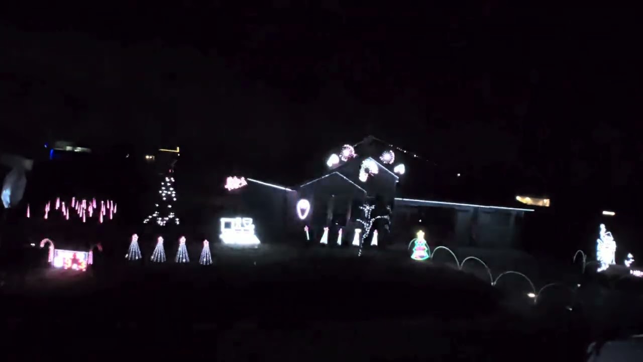 The Present Forest Frank