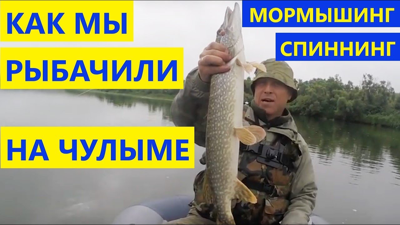 Спиннинг кайда лексус