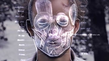 BIOINFORMATICS (Official promo video HD)