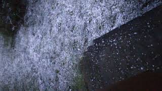 Halloween Cryptoid Encounter