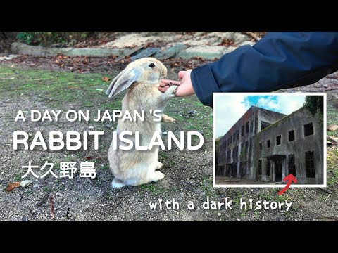 Japan’s Rabbit Island: Cute Bunnies and a Dark History 日本うさぎ島 [Eng CC]