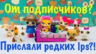 LPS: ПРИСЛАЛИ РЕДКИХ LPS!? (Mail time #9)