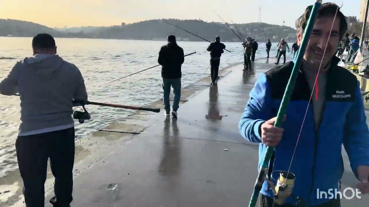Rumeli Hisarı Çapari ile istavrit #vlog #fishing #istanbul #balık #levrek #fish #fish #travel #fyp 