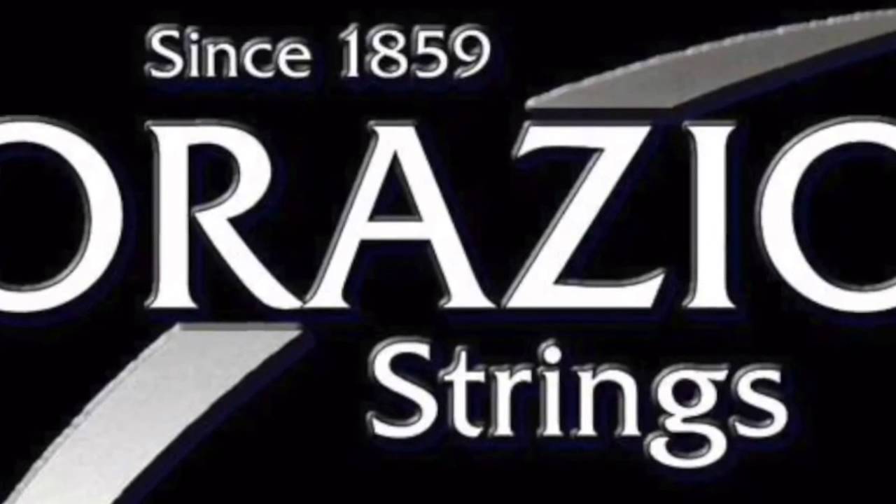 EBS AMPS - MARLEAUX BASSES - D'ORAZIO STRINGS @ DUTCH MUSIC EVENT 2014