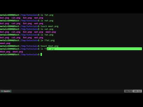 BASH Search Patterns Linux Shell Tutorial