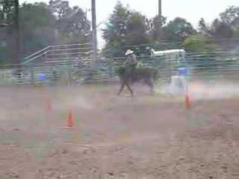 Buck's Horse in Rio Linda