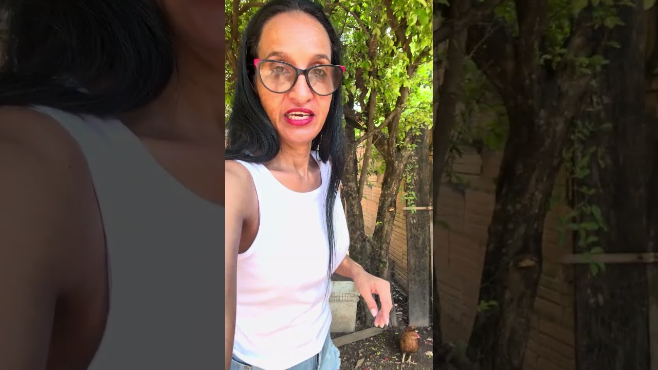 VAMOS PEGAR A FRANGA PRA ANATE 