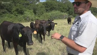 Celebrity Group helping Texas veterans turn into farmers | KVUE Net Worth