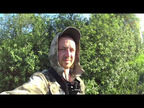 рыбалка по камышу!!!боковой кивок!!!
