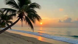 Musik Angklung Dengan Suara Ombak Dan Alam Tropis  Musik Relaksasi Menenangkan Untuk Belajar