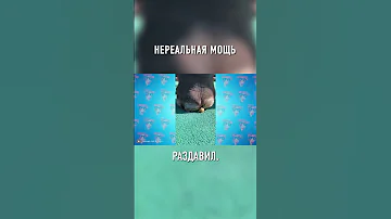 Посмотрите, Как Слон РАСКАЛЫВАЕТ ОРЕХИ #shorts