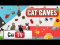 Jeux de chat  compilation ultime de cat tv vol 44  2 heures 