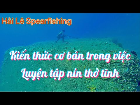 Video Ký Sự Biển Cả, Tập 3. Những kiến thức cơ bản luyện tập... - youtube