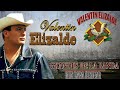 Valentin Elizalde Mix Corridos Con Banda ⚡ 20 Grandes Exitos De Valentine Elizalde