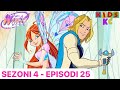Winx Club Shqip - EPISOD I PLOTË|Sezoni 4 Episodi 25|Sekreti i Morganës🤩