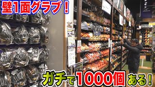日本一のグラブ天国！総数1000個！見たことない！