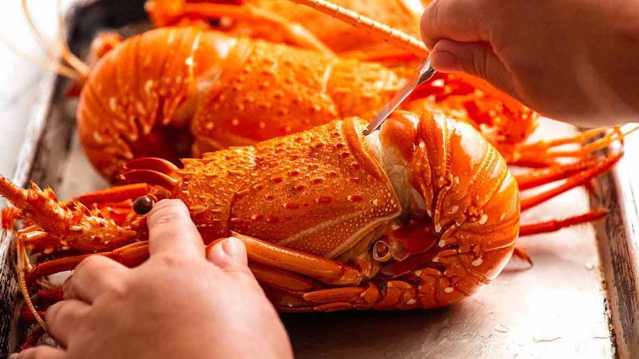 How to Steam a Whole Lobster + How to Eat It Too!
