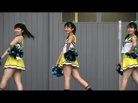 試合を彩る定番のチアダンス曲 チアリーディング 4ページ