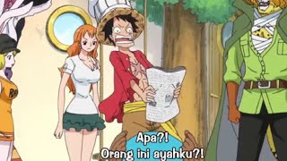 Momen Luffy  melihat foto ayahnya (monkey.d.dragon)