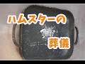 ハムスターの葬儀（火葬）お葬式：Hamster funeral (cremation) funeral
