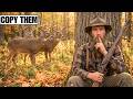 The Appalachian Secret to Attracting Deer to Your Property Forever