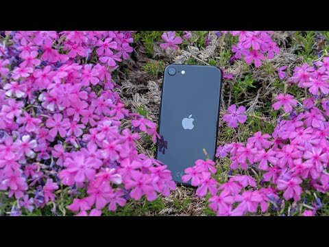 Apple iPhone SE - Najboljši telefon v srednjem cenovnem razredu?