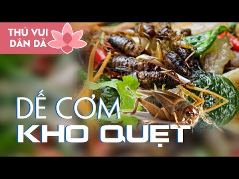 Video Dế Cơm Kho Quẹt l Dế Cơm Chiên Nước Mắm l How To Cook... - youtube