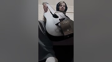 Tagelharpa from old guitar