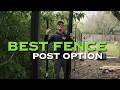 The BEST steel fence post option