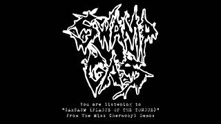 Swamp Gas - SARCASM (The Plague Of The Tongue) pre-production demo