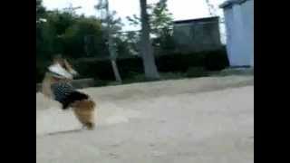 20080501 1828 798ccfe91e6ddd63f38c3369ff7c94b8