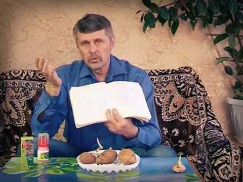 Во салу ли, в огороде 22.04.16