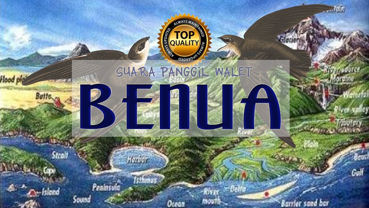 SUARA PANGGIL MEMBAHANA SP BENUA