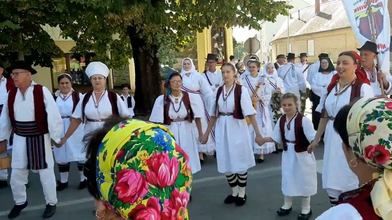 Vinkovačke jeseni Kud Gromovnik Novi Šeher Kolo...