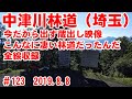 【これが中津川林道】中津川林道を全線収録+ちょびっと川上牧丘【お蔵入り映像より】