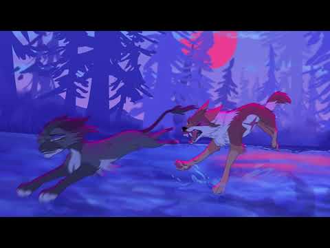 Were-whisker // Coyotes [Part 23]