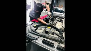 Auto world German & European car specialist.