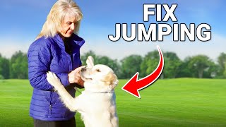 STOP Yelling at Your Dog When They Jump! Try This Instead