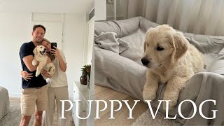 PUPPY VLOG | Onze puppy golden retriever ophalen