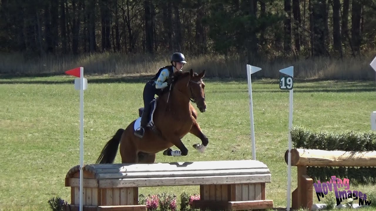 Gwen Ott; SSHF Fall Horse Trials, October, 2021 YouTube