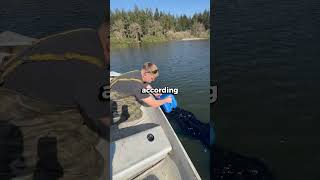 The Blue Liquid Wasn’t What People Thought