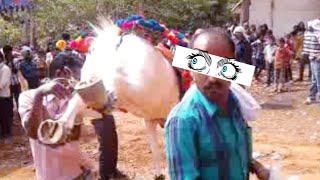 Horse Kicks Man On His Face