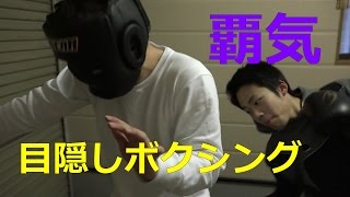 【ONE PIECE】磨け見聞色！？目隠しボクシング！！
