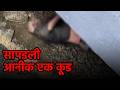 Fire Brigade Pulls Yet Another Body From Mandovi Waters||GOA365 TV
