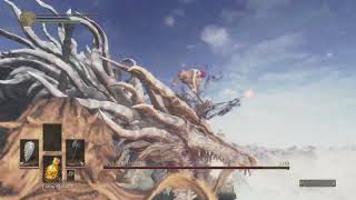 Ancient wyvern Quick kill?
