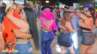 Raise your hand if you want to participate in the Chihuahua dances!